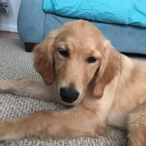 Meet your Posher, Wendy